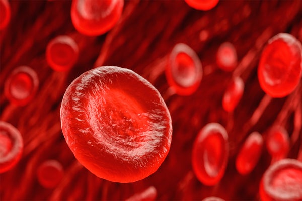 Digital illustration, healthy red blood cells flowing inside a vein