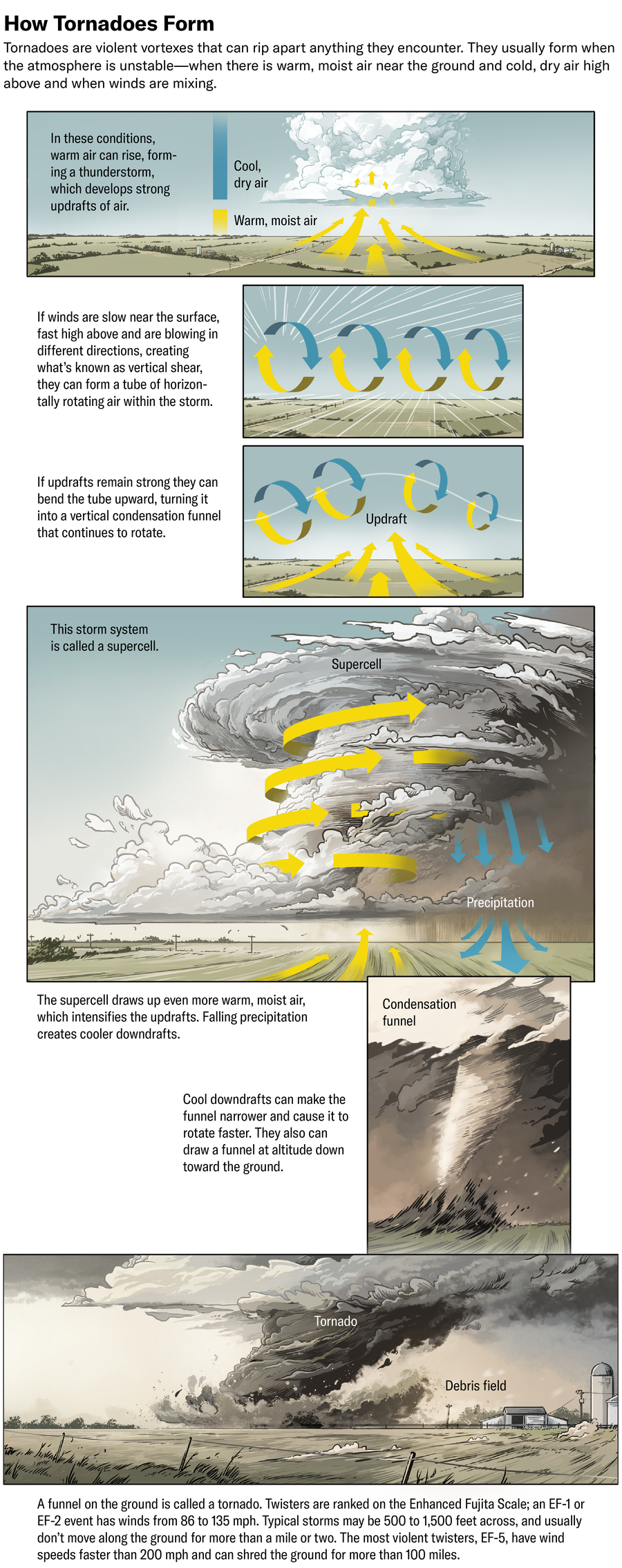 O gráfico mostra como o cisalhamento vertical pode formar um tubo de ar rotativo horizontalmente, com ar quente e úmido perto do solo e ar frio e seco acima. Forte as atualizações fortes podem dobrar o tubo, resultando em um tornado.