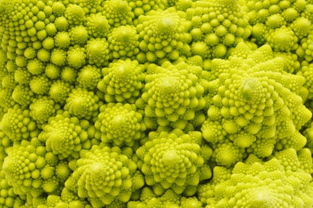 A close-up of Romanesco Broccoli, which is sometimes called one of nature’s fractals.