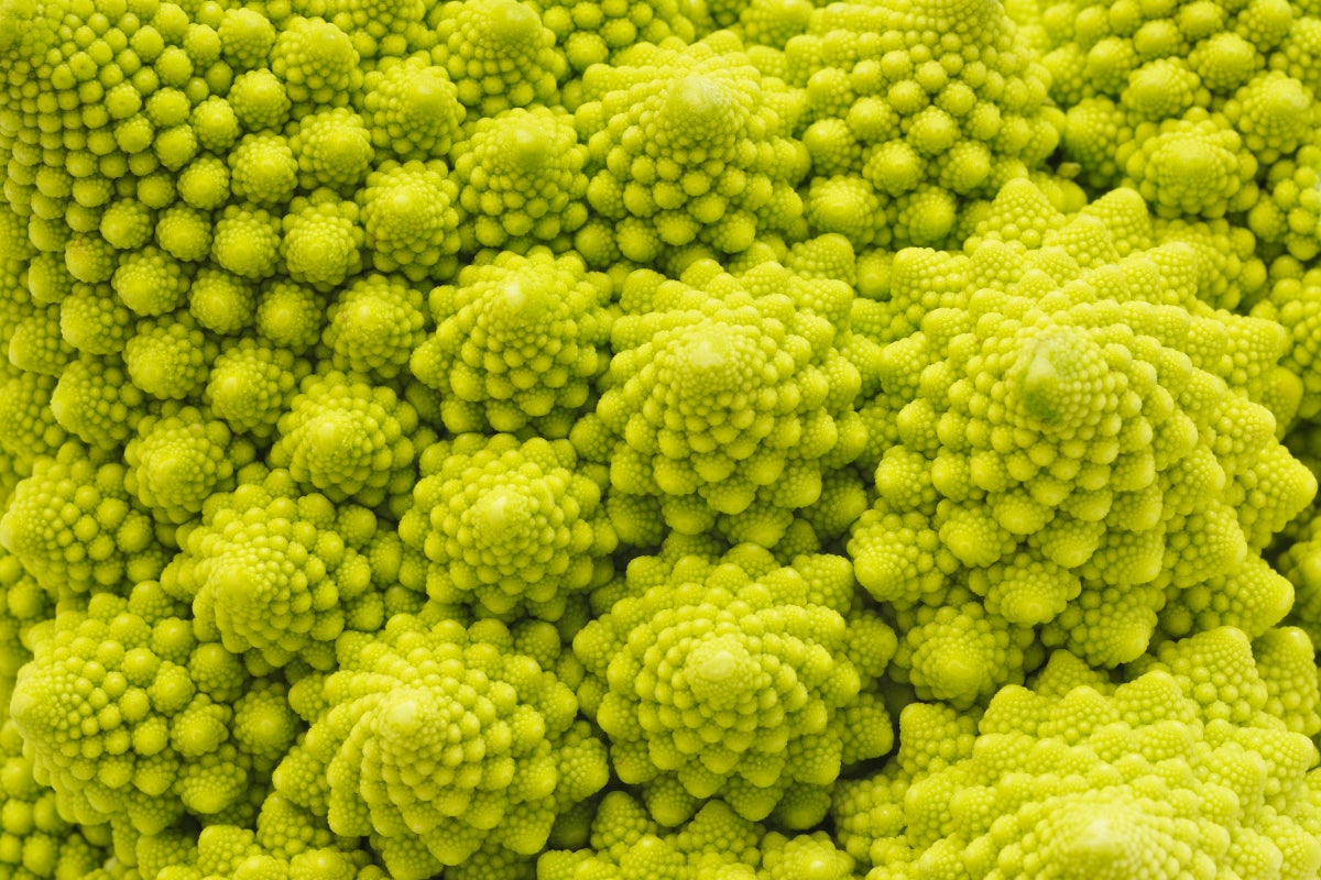 A close-up of Romanesco Broccoli, which is sometimes called one of nature's fractals.