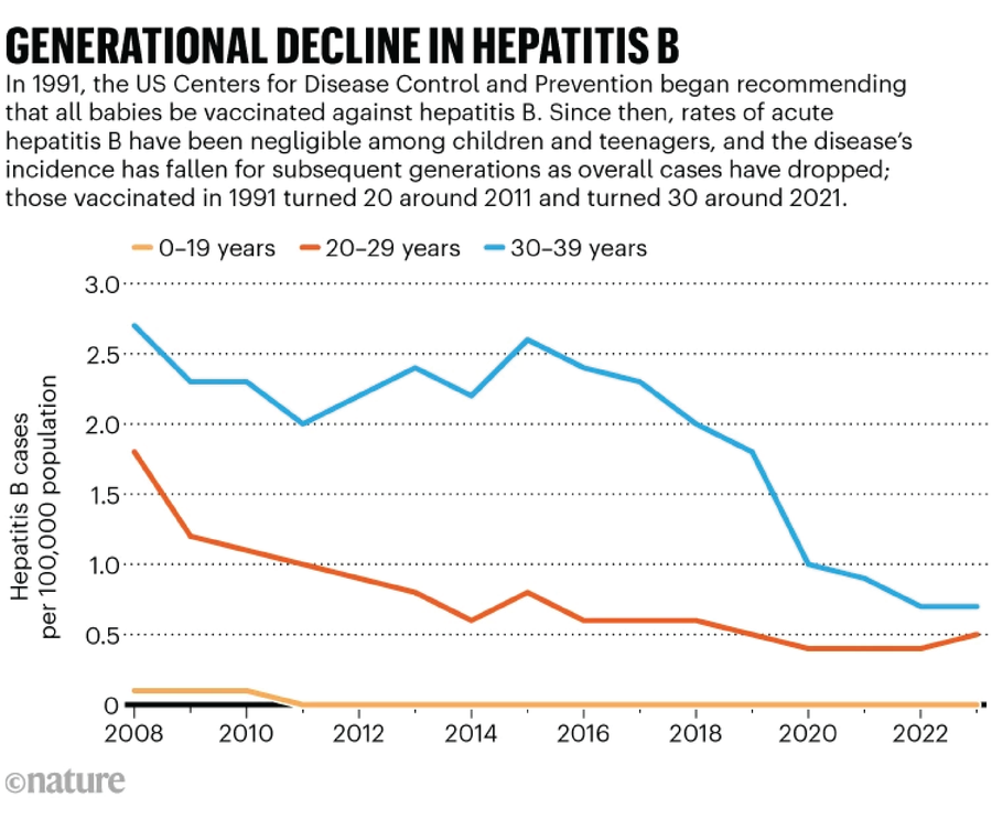 Line chart showing Hepatitis B cases per 100,000 population across age groups from 2008 to 2023. In 1991, the US Centers for Disease Control and Prevention began recommending that all babies be vaccinated against hepatitis B. Since then, rates of acute hepatitis B have been negligible among children and teenagers, and the disease’s incidence has fallen for subsequent generations as overall cases have dropped.