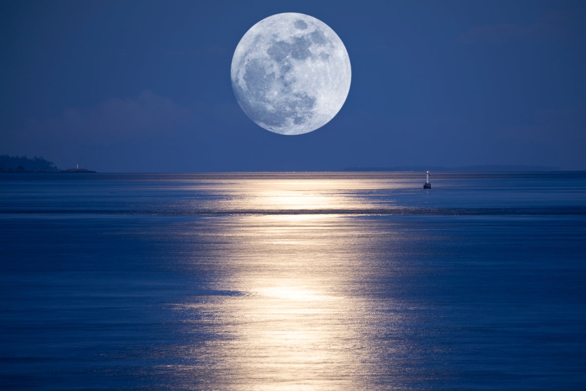 A photograph of a huge full moon rising above the sea