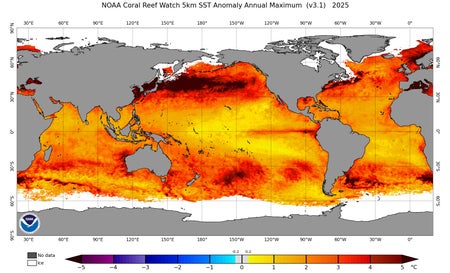 A global map showing color-coded ocean temperature anomalies in varying shades of yellow, orange and red