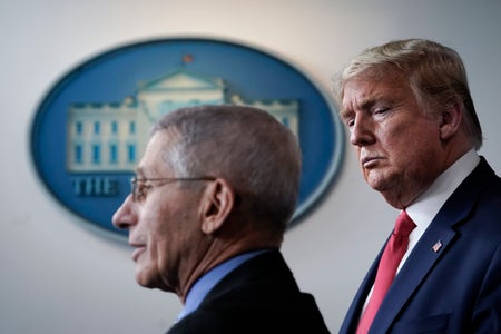 Dr. Fauci and President Trump