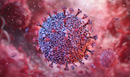 Illustration of an Epstein-Barr virus particle