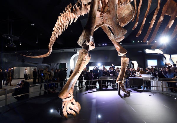 The Titanosaur skeleton on a museum display with visitors in the background.