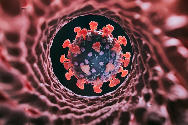 Illustration of a SARS-CoV-2 virus