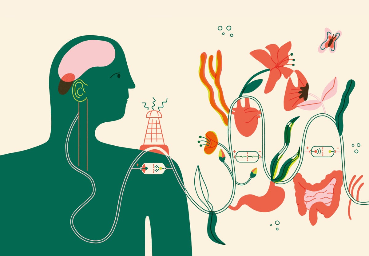 Illustration of a person and their vagus nerve connecting to flowers