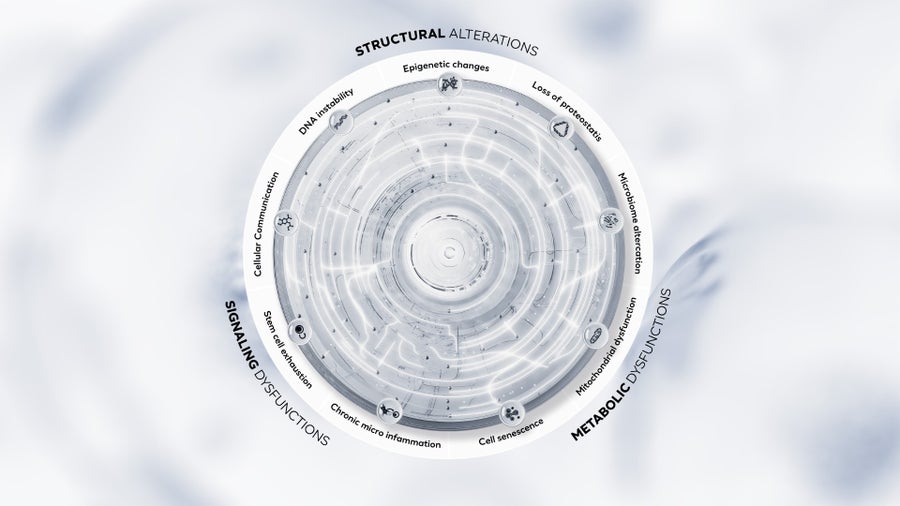 Loreal Wheel of Longevity for Beauty