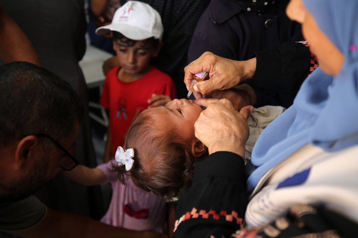 How Polio Entered Gaza, and How the Vaccination Campaign is Going