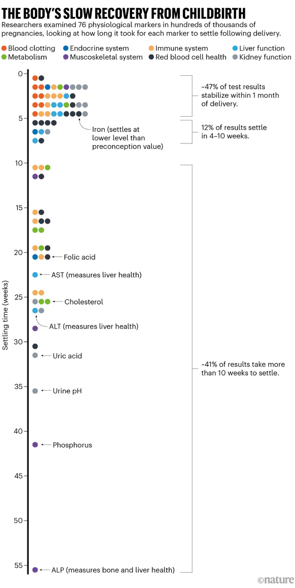 La lenta recuperación del cuerpo del parto: línea de tiempo que muestra los resultados de un estudio en 76 marcadores fisiológicos en cientos de miles de embarazos, observando cuánto tiempo tardó en cada marcador en establecerse después del parto. El estudio analizó la coagulación de la sangre, el sistema muscosquelético, el sistema endocrino, el sistema inmune, la función renal, la función hepática y la salud de los glóbulos rojos. El 47% de los resultados de las pruebas se estabilizan dentro de 1 mes de la entrega. Otro 41% de los resultados tardan más de 10 semanas en establecerse.