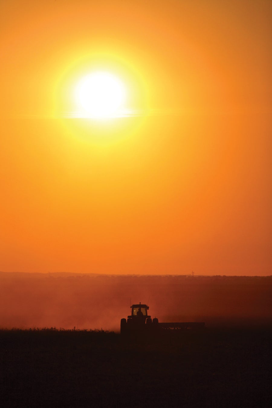 Sun shining down on farmer working his field.