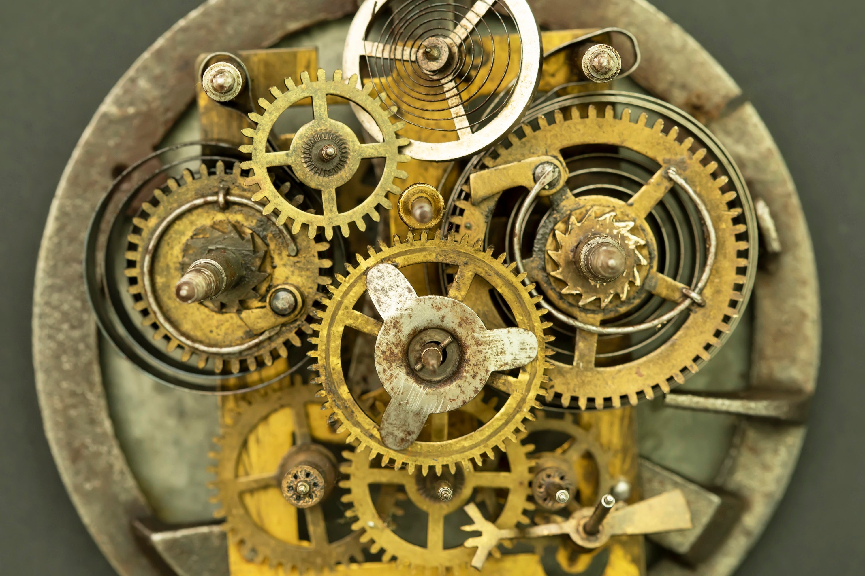 Golden gears nestle together on a circular piece of metal