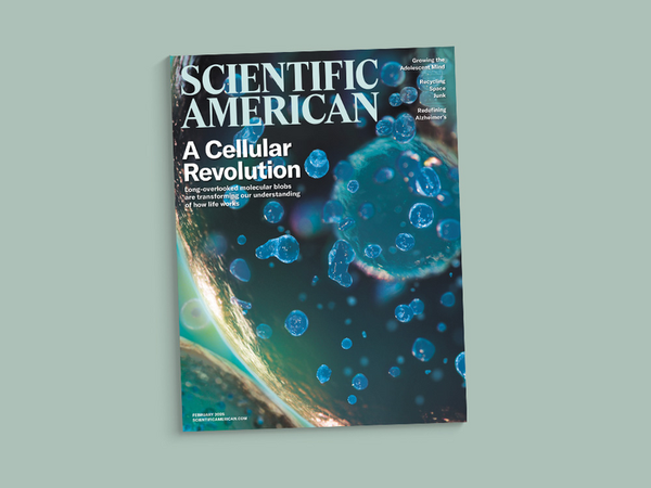 Cover of the February 2025 issue of Scientific American.