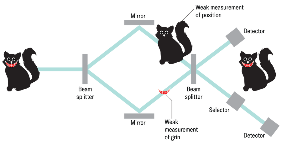 quantum which way experiment