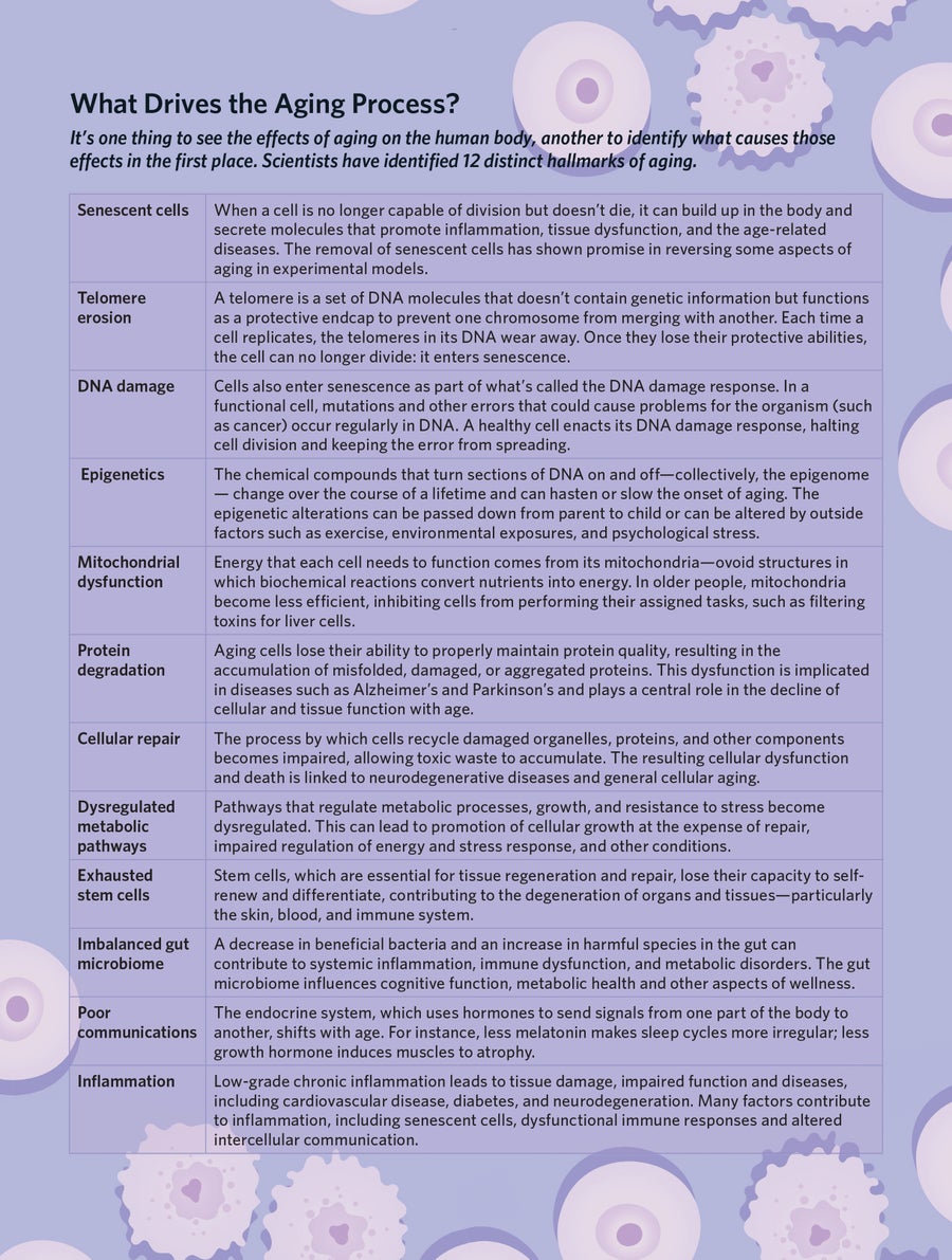 Table "What Drives the Aging Process?"