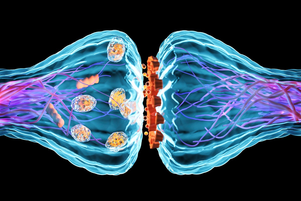 Computer illustration of a synapse