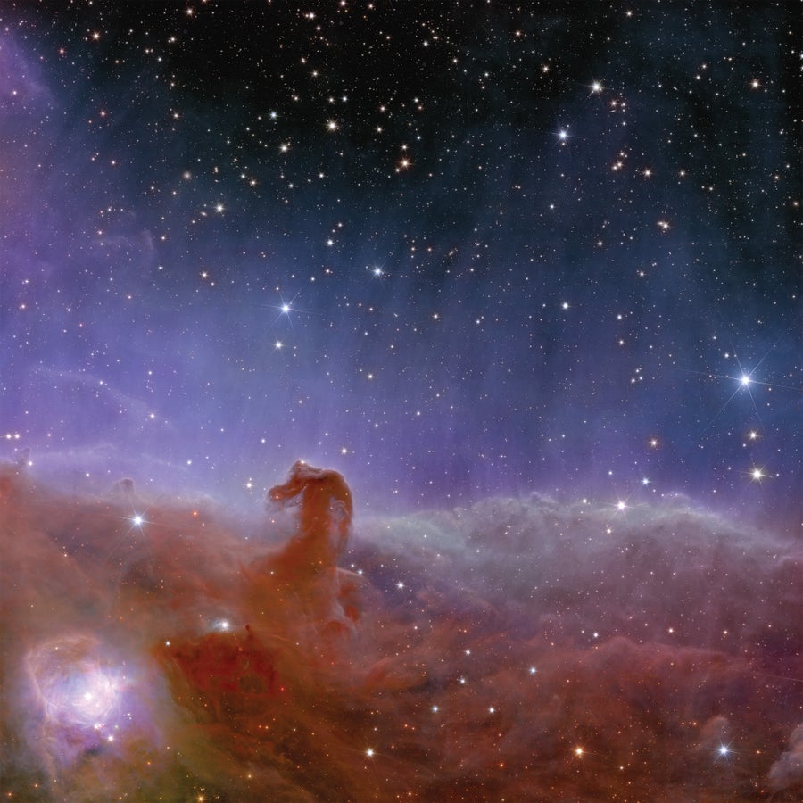 The stellar nursery of the Horsehead nebula