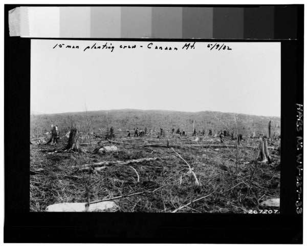 Fotografía histórica en blanco y negro que muestra un equipo de plantación de 15 personas de Virginia Occidental en un área que había sido talada. Una nota escrita a mano en la fotografía dice: