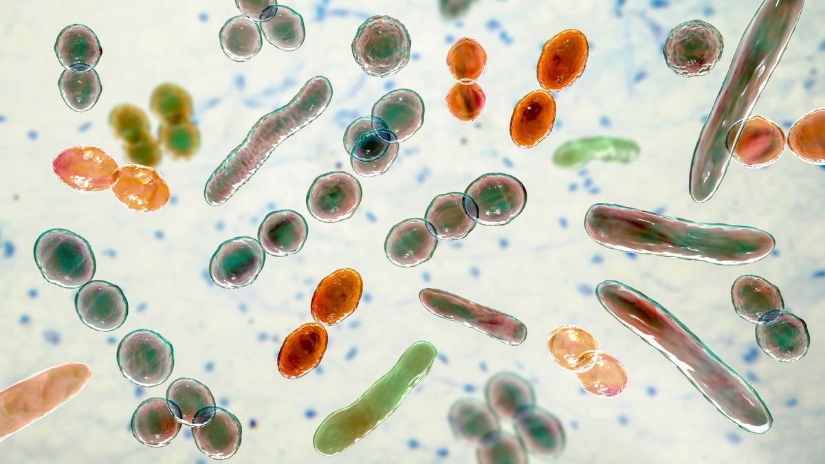 Mikrobiomtests für Zuhause liefern dramatisch unterschiedliche Ergebnisse