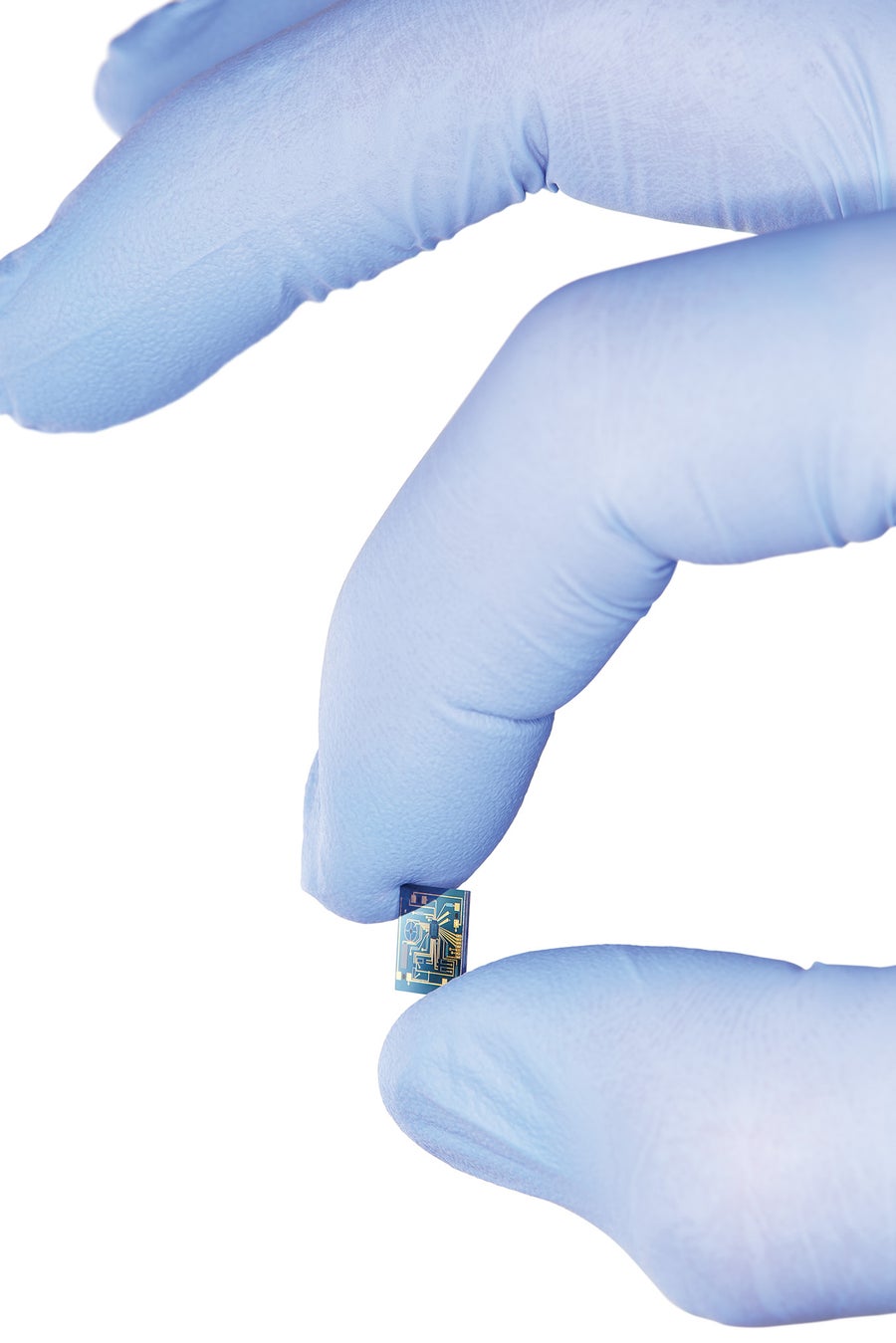 A hand covered with a blue glove holding a tiny computer chip