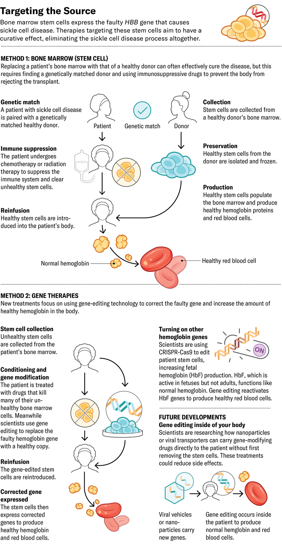 Illustration shows how some sickle cell disease drugs target the source. Bone marrow transplants and gene therapy aim to have a curative effect, eliminating the sickle cell disease process altogether.