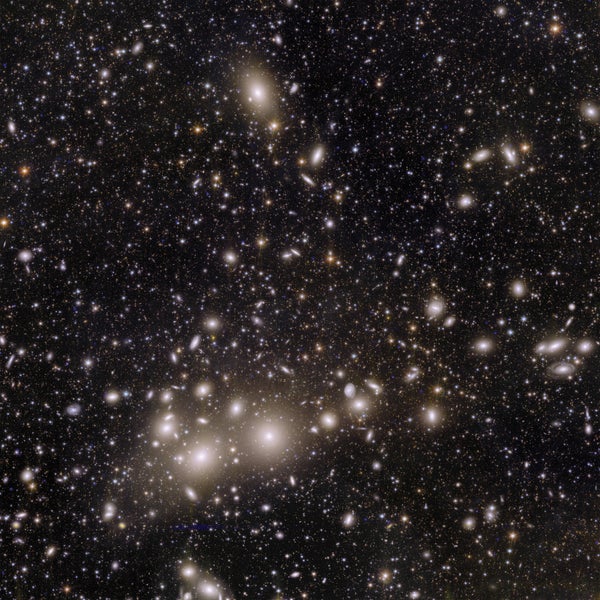 Euclid’s image of the Perseus cluster