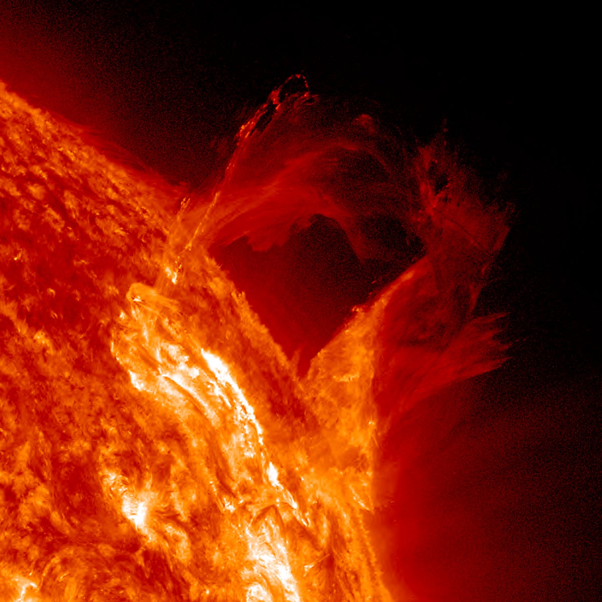 A solar prominence is seen towering over the surface of the sun