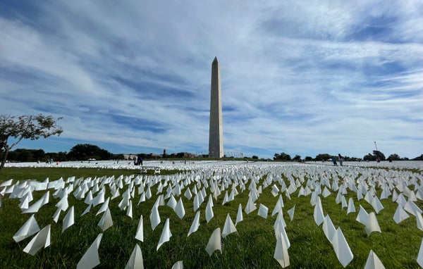 مجموعة من الأعلام البيضاء الصغيرة مصفوفة على العشب أمام نصب واشنطن التذكاري في العاصمة.