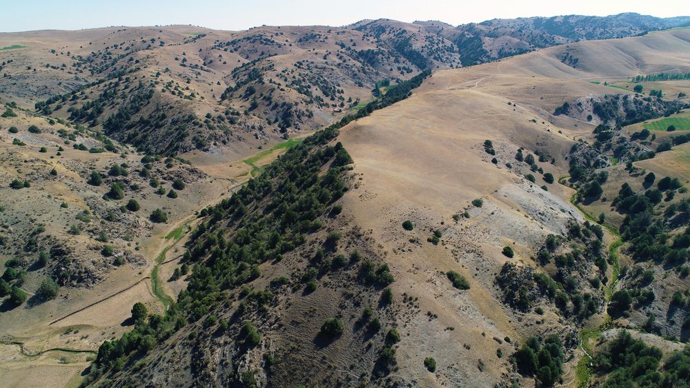 Vista de drones de los picos de las montañas cubiertas de hierba