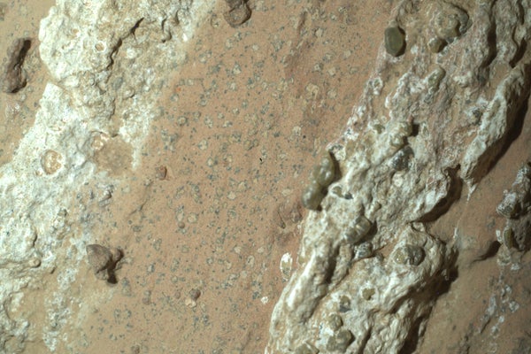 Mars Rock seems "Leopard places"