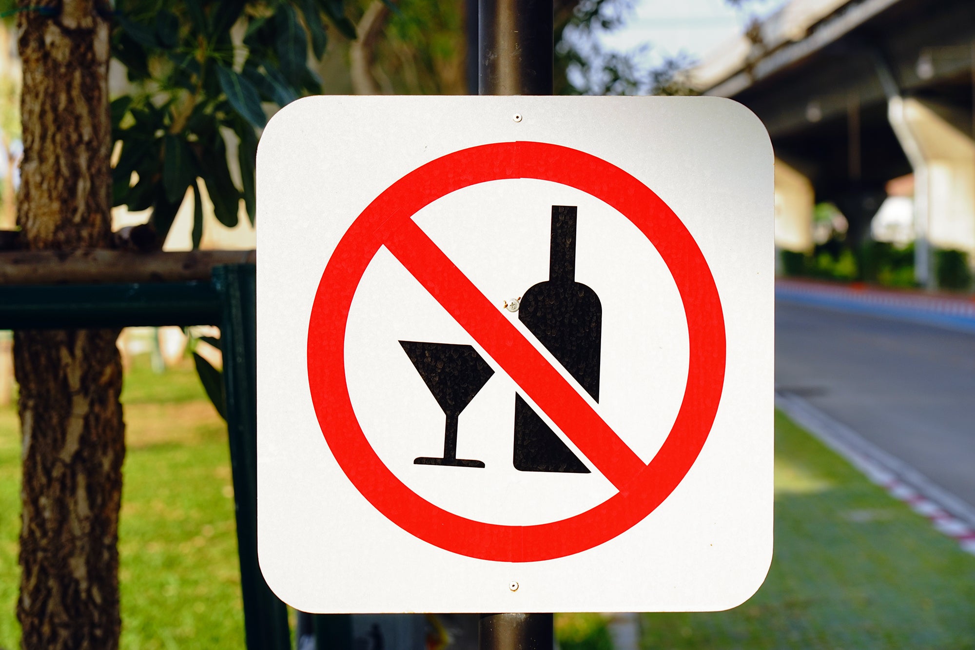 Close-up photo of a sign with an alcohol prohibited symbol hanging in an outdoor park