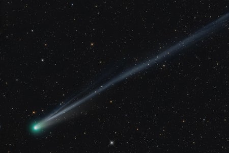 A photo of a comet streaking through the dark night sky.
