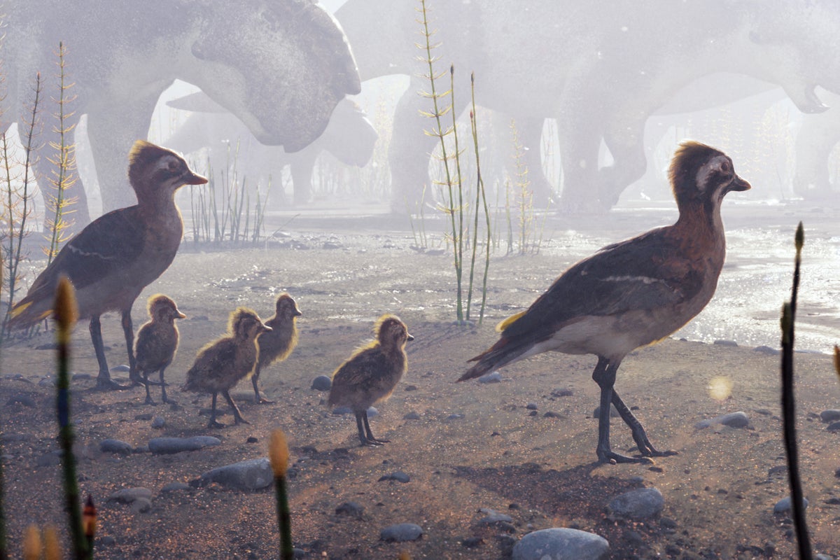 Bird Migration Is One of Nature's Greatest Spectacles. Paleontologists Just Found Clues to Its Origin