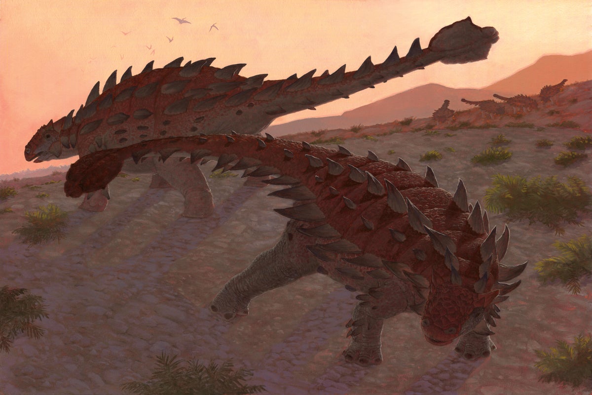 Dinosaur Armor and Weaponry Was Even More Impressive Than Researchers Thought