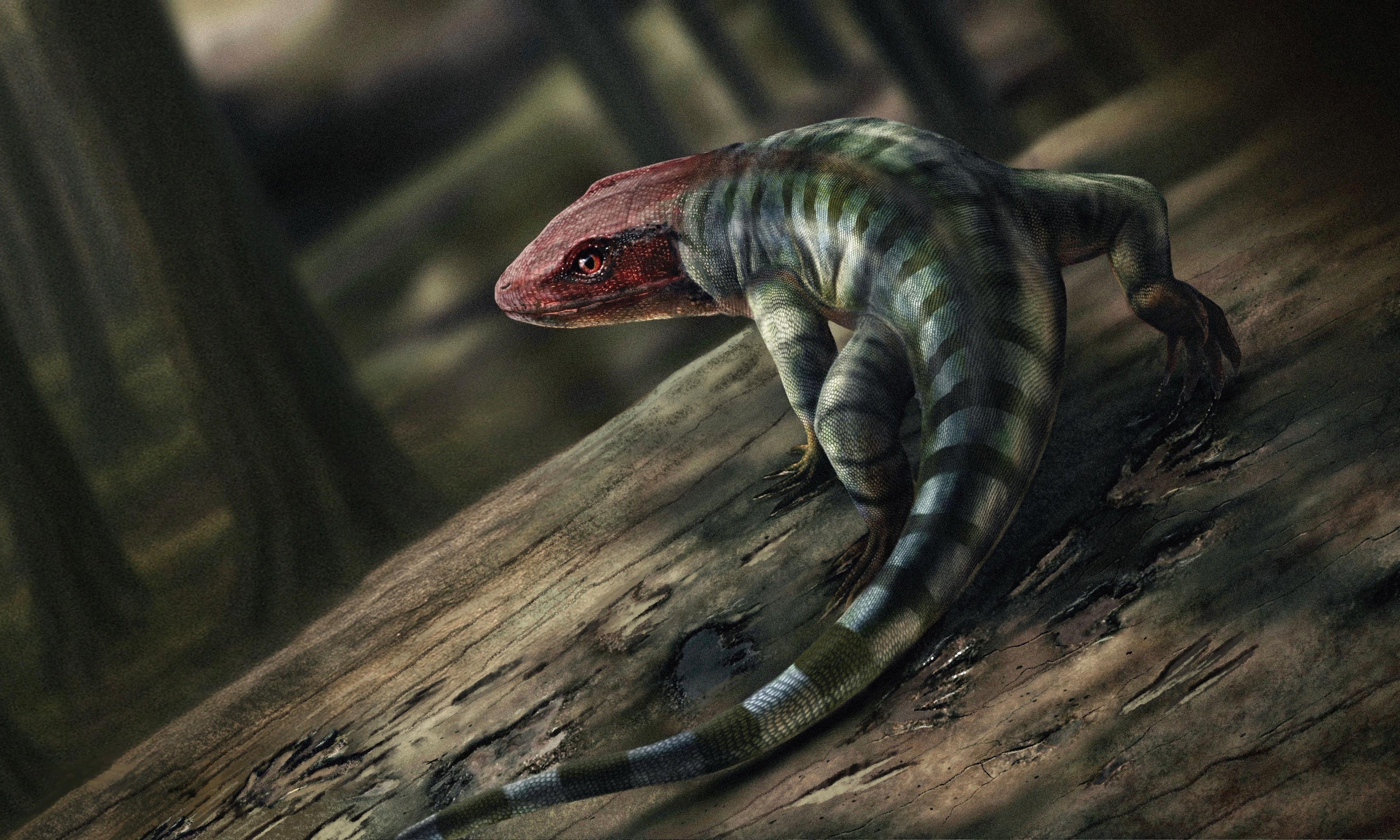 Illustration of an amniote animal thought to have left fossilized claw prints in Victoria, Australia.
