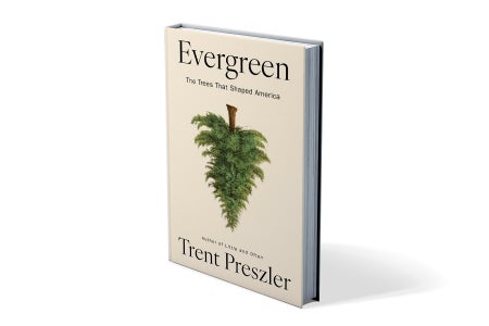 An image of a book called Evergreen with an upside-down conifer tree on the cover.