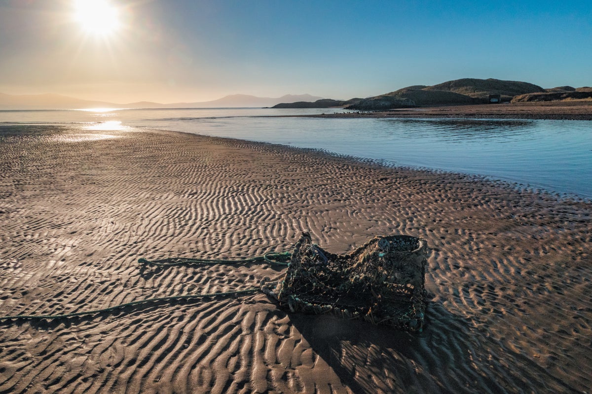 The Dark Side of Nostalgia for Wild, Untouched Places