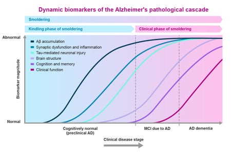 Graph on the biomarkers of the Alzheimer's pathological cascade