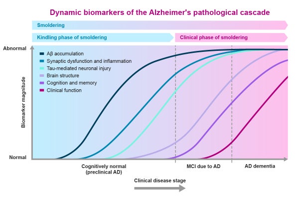 Graph on the biomarkers of the Alzheimer's pathological cascade