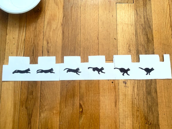 How to Make Your Own Zoetrope | Scientific American