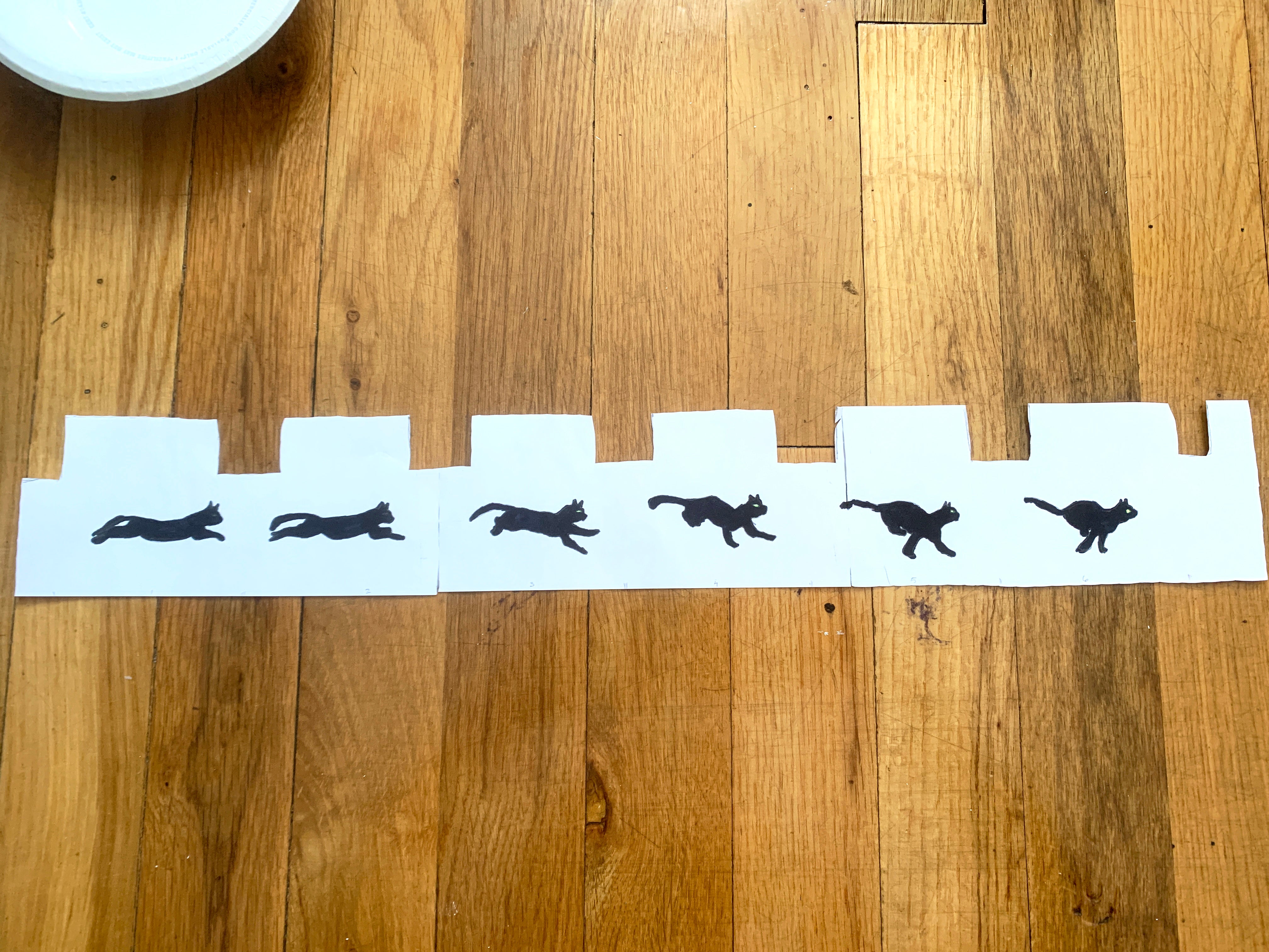 Homemade zoetrope of running cat