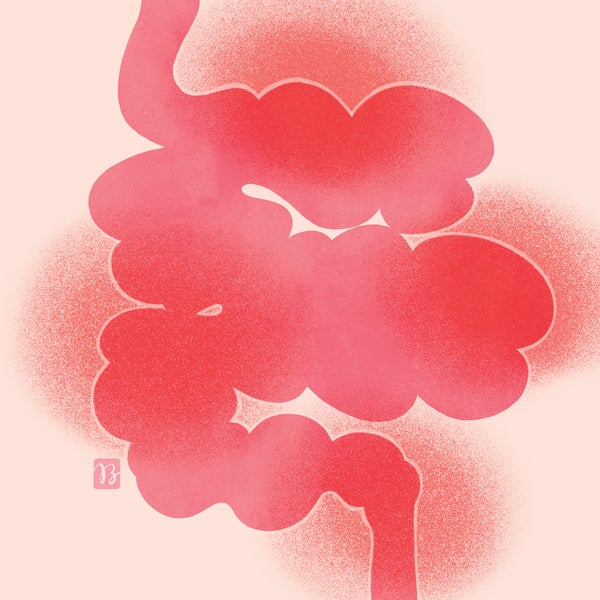 Illustration of red intestines