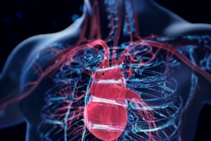 Blue holographic human body and close-up red heart