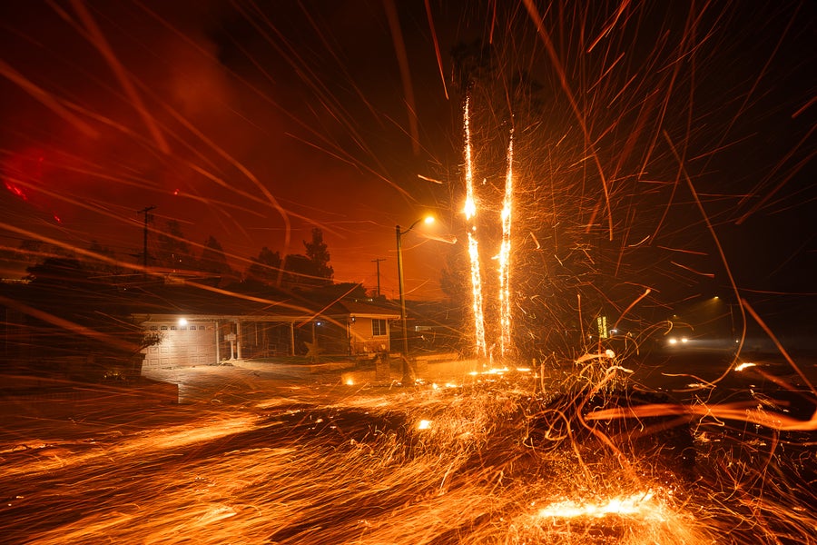 Embers are seen flying chaotically from a wind-driven fire burning on January 7, 2025 in Los Angeles, California. In the background palm trees are seen with the full length of their trunks in flames. Santa Ana winds fueled wildfires in Los Angeles that have destroyed homes and forced the evacuation of thousands of people