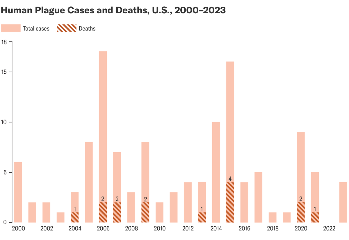 Pneumonic Plague Infections in Modern Times Show the Black Death Isn’t ...