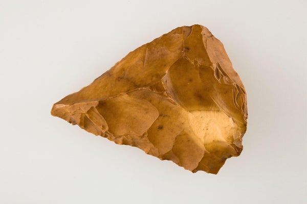 Middle Paleolithic tool photographed on a white background. The tool was created from a flake knocked off from a larger core