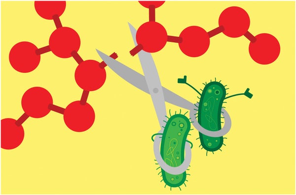 Illustration of two microbes in the openings of a pair of scissors