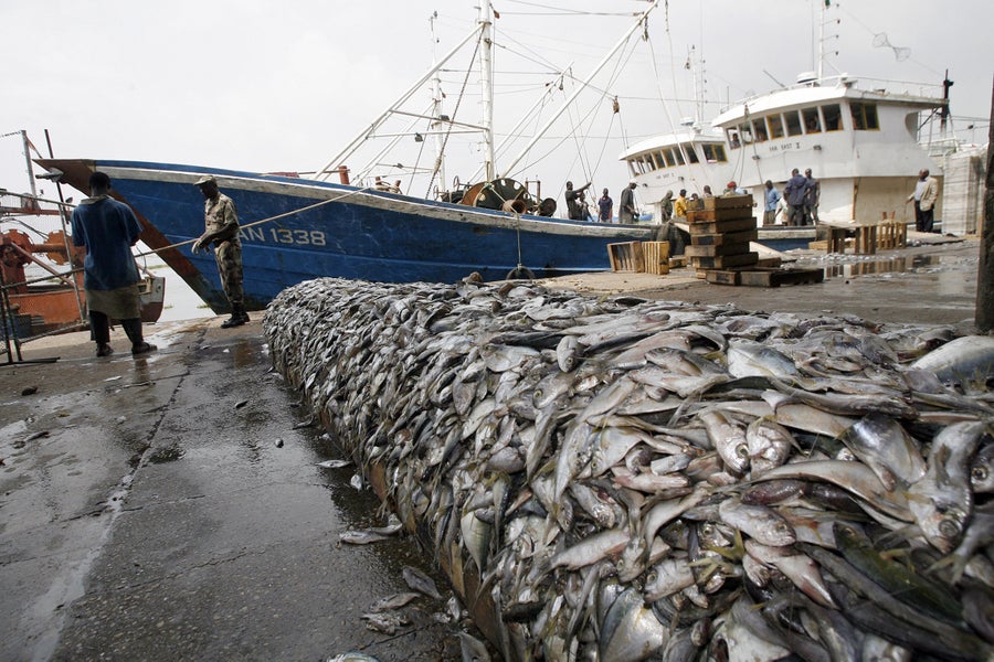 Large pile of silver fish stacked on wet concrete ground in front of trawling ship