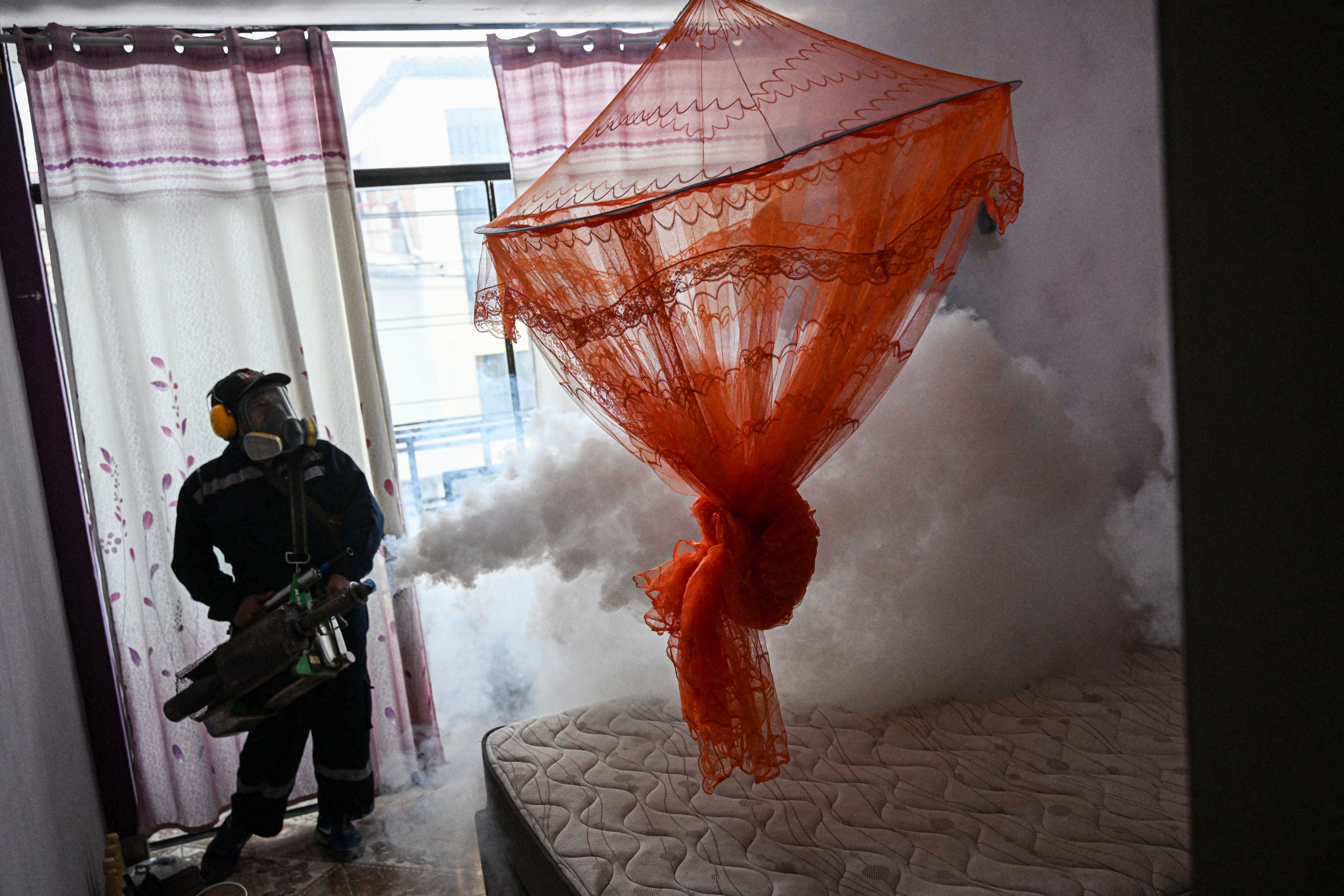 A Dengue Fever Outbreak Is Setting Records in the Americas